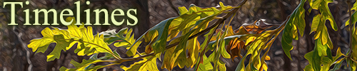 image link to timeline images