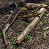 image link to earth photo gallery 30