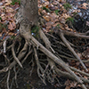 image link to photo gallery Earth 49