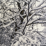 image link for winter images