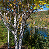 image link to autumn03 images