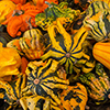 image link to autumn photo gallery 08