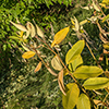 image link to autumn photo gallery 13