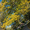 image link to autumn photo gallery 14