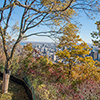 image link to Autumn 25 images