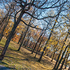 image link to Autumn 26 images