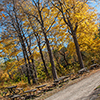 image link to Autumn 28 images