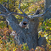 image link to Autumn 30 images