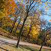 image link to autumn 31 photo gallery