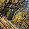 image link to autumn 32 photo gallery