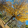 image link to autumn 35 photo gallery