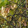 image link to autumn 43 images