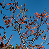 image link to photo gallery autumn 59