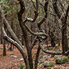 image link to photo gallery autumn 71