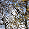 image link to photo gallery for autumn 93
