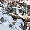 image link to winter03 images