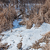 image link to winter04 images