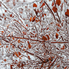 image link to winter05 images