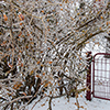 image link to Gallery Winter 08