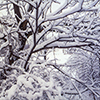 image link to Gallery Winter 09