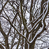 image link to photo gallery for winter 106