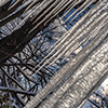 image link to photo gallery for winter 107