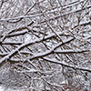 image link to photo gallery for winter 108