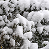 image link to photo gallery for winter 109