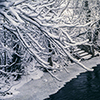 image link to Gallery Winter 10