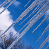 image link to photo gallery for winter 111