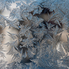 image link to Gallery Winter 11