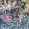 image link to Gallery Winter 12