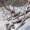 image link to Gallery Winter 14