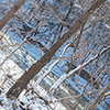 image link to winter gallery 18