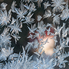 image link to photo gallery winter 19