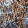 image link to photo gallery winter 20
