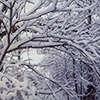 image link to photo gallery winter 22