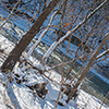 image link to photo gallery winter 23