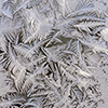 image link to photo gallery for winter 27