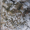 image link to photo gallery for winter 28