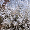 image link to photo gallery for winter 29