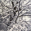 image link to photo gallery for winter 30