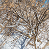 image link to winter gallery 31