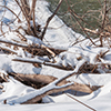 image link to winter gallery 33