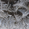 image link to winter gallery 34