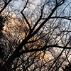 image link to photo gallery winter 35