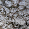 image link to photo gallery winter 36
