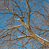 image link to photo gallery winter 38