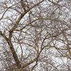 image link to photo gallery winter 39