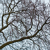 image link to photo gallery winter 41